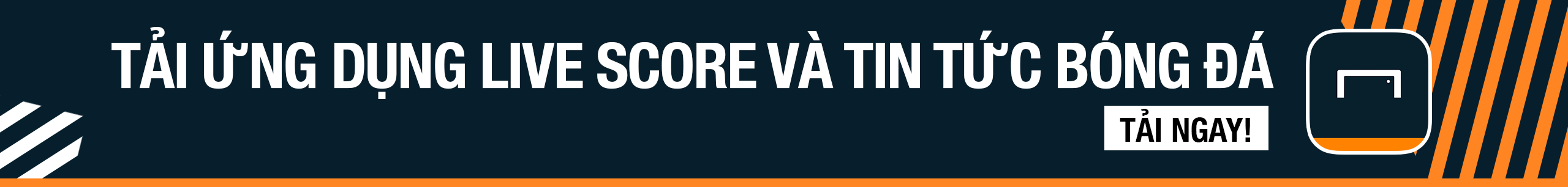 奋地表示 奋地表示